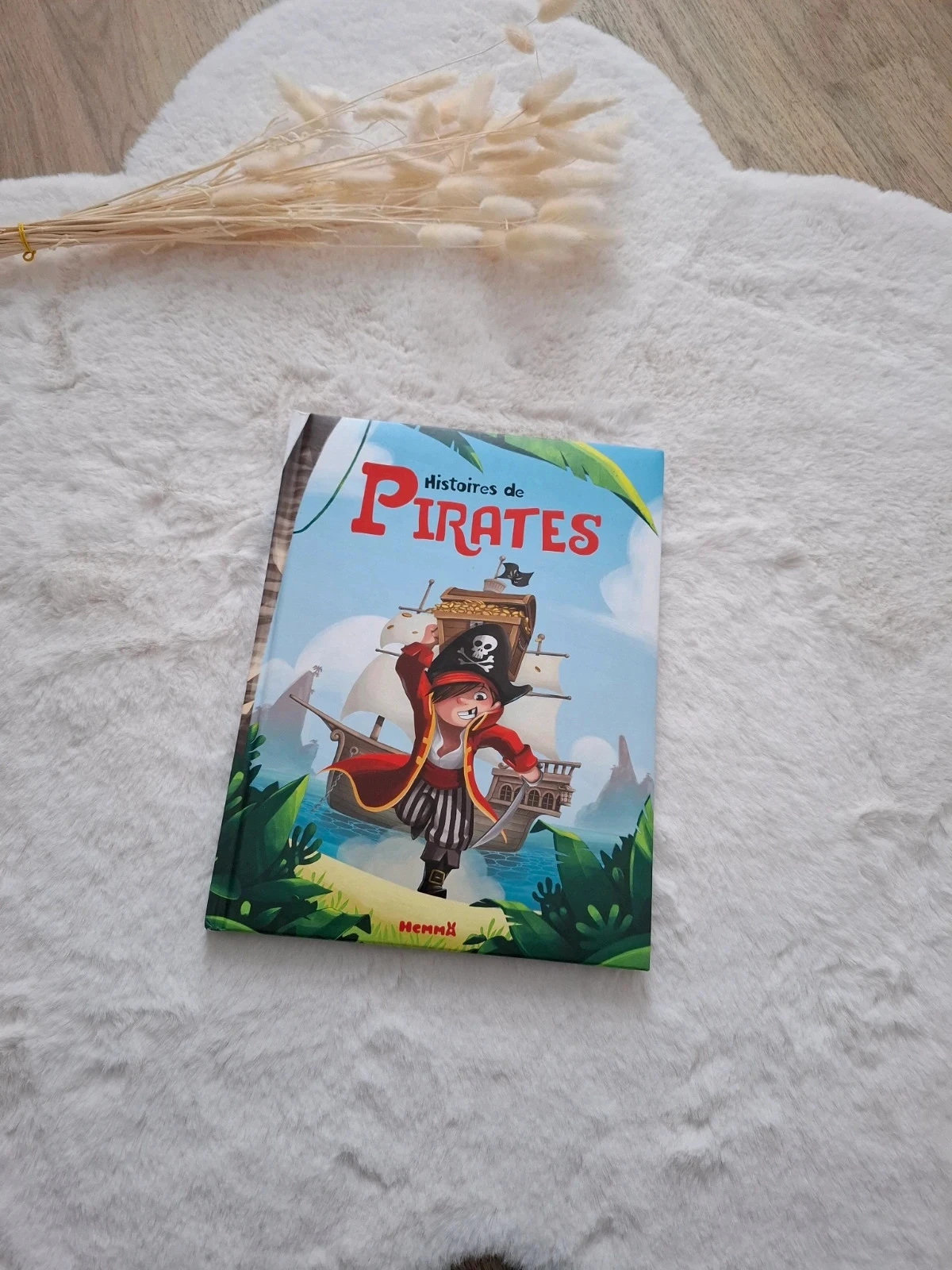 📚 histoires de pirates Hemma